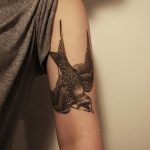Фото тату реалистичной ласточки на предплечье. Детализированный рисунок татуировки с использованием черно-серых оттенков.
