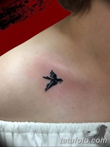 Фотография маленькой, черной татуировки ласточки на женской ключице. Простой и элегантный дизайн.
