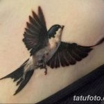 фото тату ласточка для девушки 24.12.2018 №218 - tattoo swallow for a girl - tatufoto.com