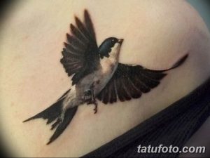 Фотография реалистичной татуировки ласточки в полете, выполненной в серо-черных тонах. Детализированное изображение птицы на коже.