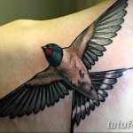 Фото реалистичной татуировки ласточки на плече. Детализированный рисунок татуировки с проработкой перьев и теней. Эскиз тату для мужчин и женщин.