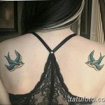 фото тату ласточка для девушки 24.12.2018 №223 - tattoo swallow for a girl - tatufoto.com