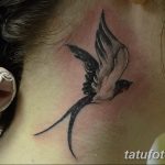фото тату ласточка для девушки 24.12.2018 №230 - tattoo swallow for a girl - tatufoto.com