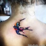 Фото акварельной татуировки ласточки на задней части шеи. Нежный рисунок татуировки с использованием ярких цветов и эффекта размытости, создающий ощущение легкости.