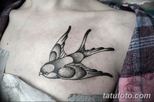 Черно-белая татуировка ласточки на груди, выполненная в технике dotwork. Рисунок состоит из множества точек, создающих эффект тени и объема.