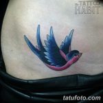 фото тату ласточка для девушки 24.12.2018 №294 - tattoo swallow for a girl - tatufoto.com