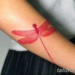 Фото пример интересного рисунка тату 28.01.2019 №157 - interesting tattoo - tatufoto.com