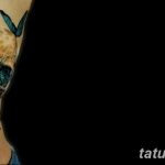 фото красивой цветной тату 28.01.2019 №151 - photo of a beautiful color tattoo - tatufoto.com