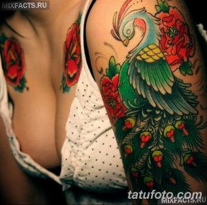 Фото яркой татуировки с павлином и розами на плече. Традиционный стиль, насыщенные цвета и детализированная проработка перьев.