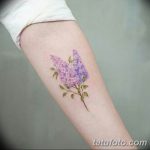 фото красивой цветной тату 28.01.2019 №232 - photo of a beautiful color tattoo - tatufoto.com