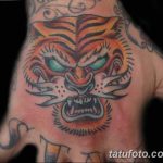 фото красивой цветной тату 28.01.2019 №300 - photo of a beautiful color tattoo - tatufoto.com