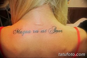 Фото татуировки на затылке с латинской надписью 'Magna res est Amor', означающей 'Любовь - великое дело', выполненной элегантным шрифтом.