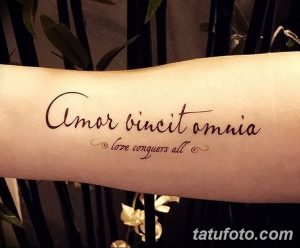 Фото татуировки на руке: красивая надпись на латыни 'Amor vincit omnia' и ее перевод 'love conquers all'.