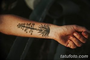 Фото минималистичной татуировки на руке, изображающей ветку с листьями. Рисунок выполнен в черном цвете, с акцентом на тонкие линии и детализацию.