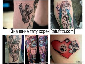Фото коллажа с различными татуировками хорьков в разных стилях и техниках. Идеи для татуировок с хорьками.
