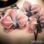 Фото изящных тату 26.02.2019 №103 - Photos of graceful tattoos - tatufoto.com