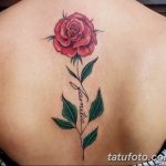 Фото изящных тату 26.02.2019 №238 - Photos of graceful tattoos - tatufoto.com