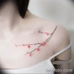 Фото изящных тату 26.02.2019 №261 - Photos of graceful tattoos - tatufoto.com