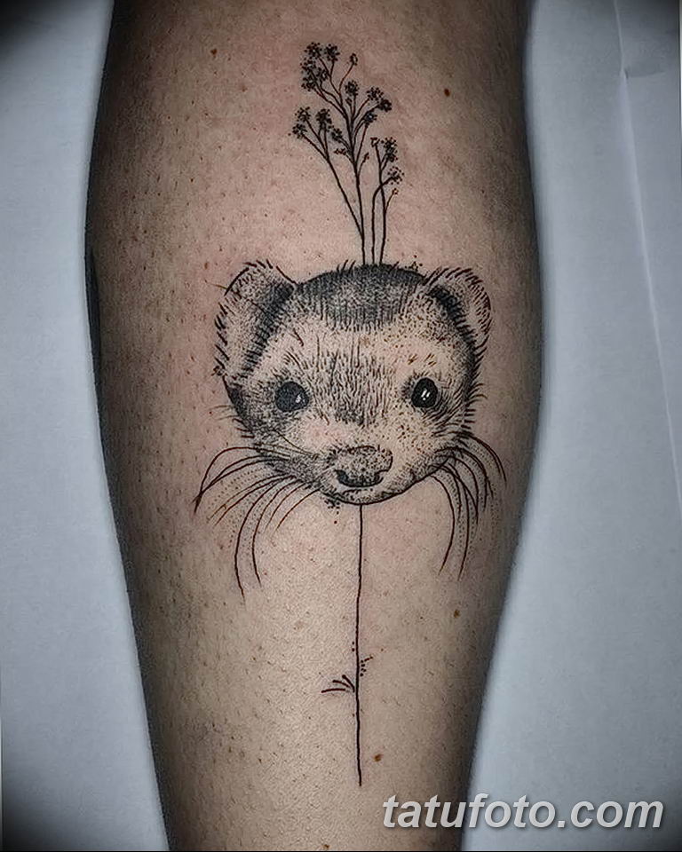 Фото тату хорёк 26.02.2019 №009 - Photo tattoo ferret - tatufoto.com