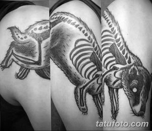 Фото тату хорька в виде скелета, выполненное в технике blackwork. Оригинальный рисунок татуировки для ценителей необычных идей.