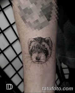 Фото тату маленького хорька на предплечье, выполненного в технике blackwork. Детализированный рисунок головы хорька с выразительными глазами.