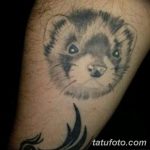 Фото тату хорёк 26.02.2019 №041 - Photo tattoo ferret - tatufoto.com
