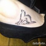 Фото тату хорёк 26.02.2019 №050 - Photo tattoo ferret - tatufoto.com
