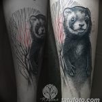 Фото тату хорёк 26.02.2019 №052 - Photo tattoo ferret - tatufoto.com