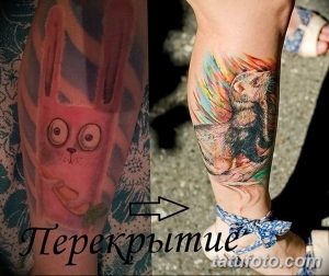 Фотография до и после перекрытия неудачной татуировки хорька. Новый рисунок выполнен в реалистичном стиле с яркими красками и детализированной проработкой.