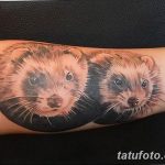 Фото тату хорёк 26.02.2019 №116 - Photo tattoo ferret - tatufoto.com