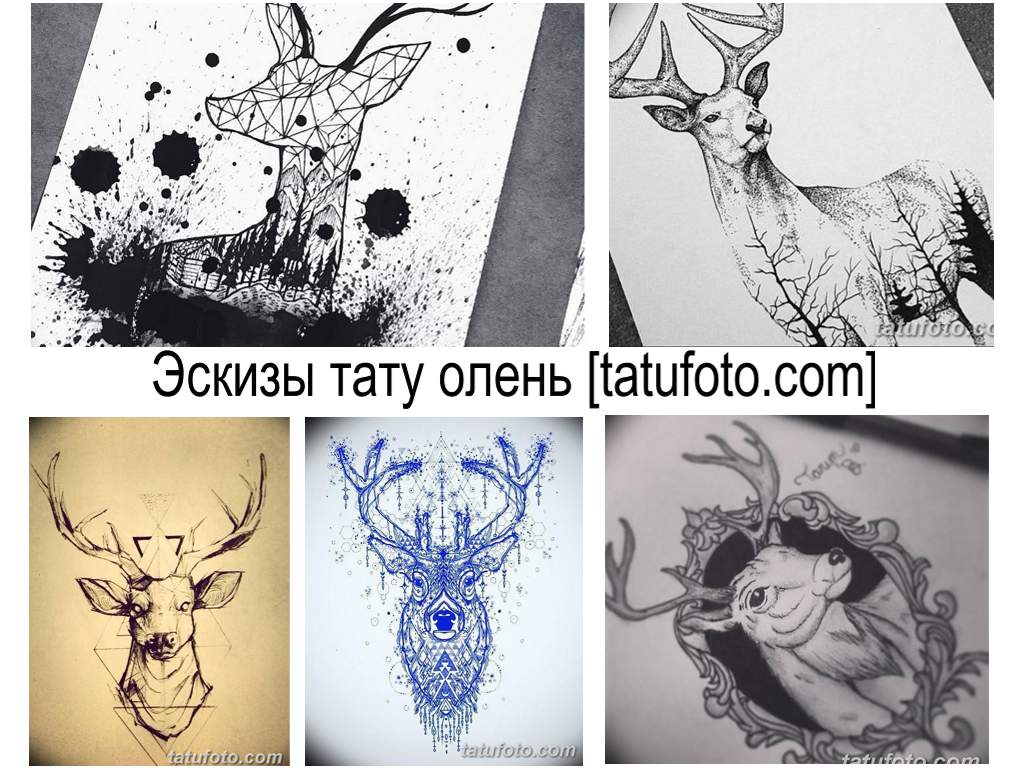 Эскизы тату олень - коллекция рисунков и информация