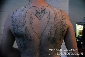 Фото тату двух лебедей на спине. Черно-белый рисунок с детализированными перьями. Красивый и элегантный эскиз татуировки.