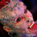 фото с тату фестивале 22.02.2019 №109 - photo from tattoo festival - tatufoto.com