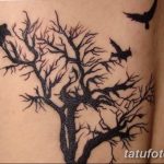фото современной тату 01.02.2019 №311 - photos of modern tattoos - tatufoto.com