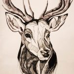 эскиз тату олень 23.02.2019 №009 - sketch tattoo deer - tatufoto.com