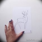 эскиз тату олень 23.02.2019 №015 - sketch tattoo deer - tatufoto.com