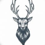 эскиз тату олень 23.02.2019 №016 - sketch tattoo deer - tatufoto.com