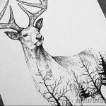 эскиз тату олень 23.02.2019 №021 - sketch tattoo deer - tatufoto.com