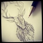 эскиз тату олень 23.02.2019 №035 - sketch tattoo deer - tatufoto.com
