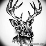 эскиз тату олень 23.02.2019 №039 - sketch tattoo deer - tatufoto.com