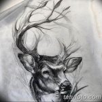 эскиз тату олень 23.02.2019 №047 - sketch tattoo deer - tatufoto.com