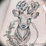 эскиз тату олень 23.02.2019 №048 - sketch tattoo deer - tatufoto.com