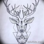 эскиз тату олень 23.02.2019 №053 - sketch tattoo deer - tatufoto.com