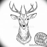 эскиз тату олень 23.02.2019 №084 - sketch tattoo deer - tatufoto.com
