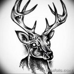 эскиз тату олень 23.02.2019 №085 - sketch tattoo deer - tatufoto.com