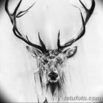 эскиз тату олень 23.02.2019 №093 - sketch tattoo deer - tatufoto.com