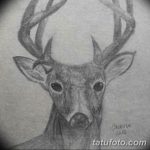 эскиз тату олень 23.02.2019 №098 - sketch tattoo deer - tatufoto.com