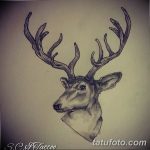 эскиз тату олень 23.02.2019 №137 - sketch tattoo deer - tatufoto.com
