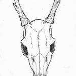 эскиз тату олень 23.02.2019 №142 - sketch tattoo deer - tatufoto.com