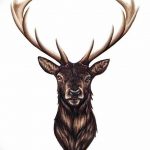 эскиз тату олень 23.02.2019 №144 - sketch tattoo deer - tatufoto.com
